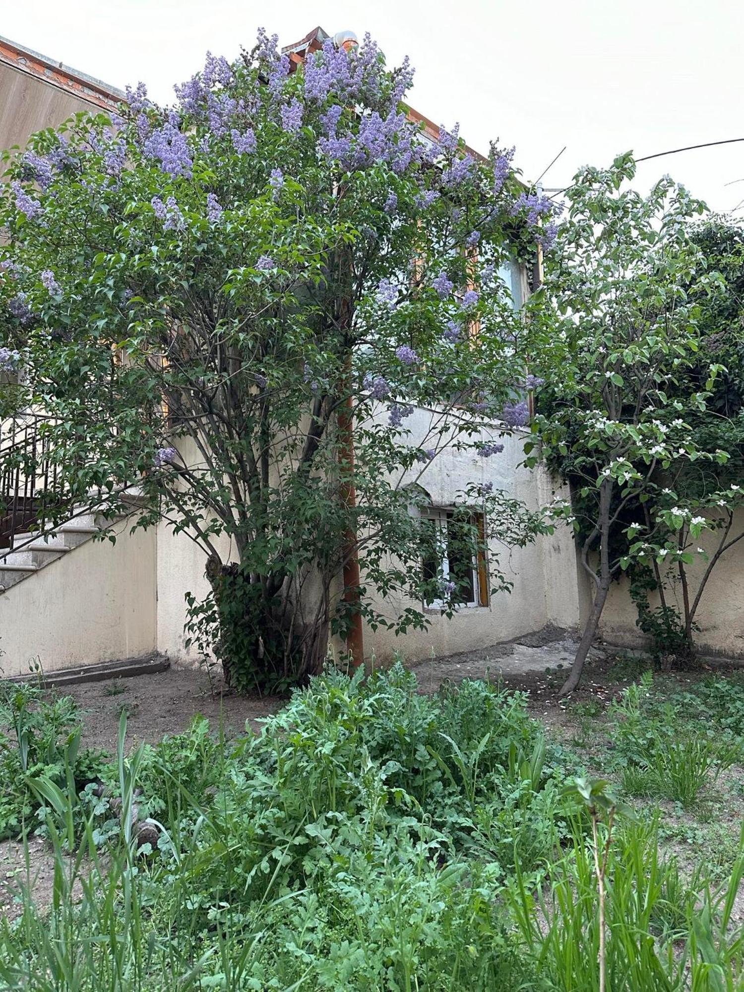 Popock City Center Erivan Exterior foto